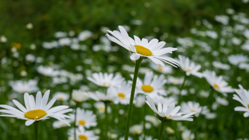 2025年84期彩票开奖结果查询与中奖号码公布