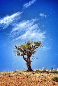 2025年3D开奖结果查询与最新公布详情