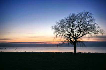 2025年3D开奖走势图最新精准分析与预测